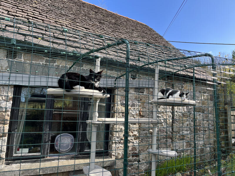 Outdoor Omlet Catio Cat Run Extensions Omlet