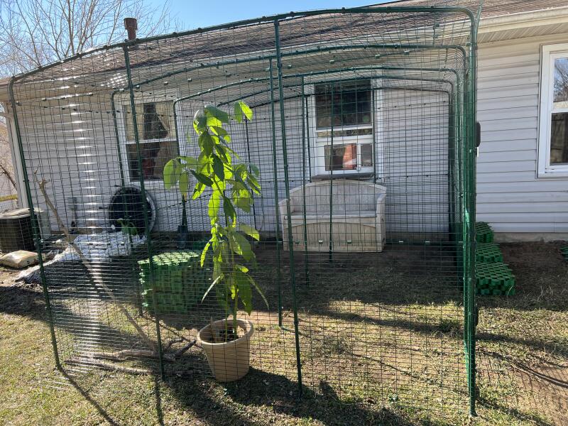 Outdoor Omlet Catio Cat Run Extensions Omlet