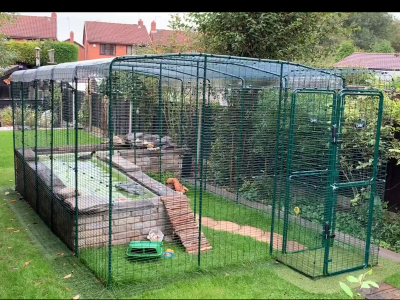 Omlet Walk in Chicken Run Porch Chicken Runs and Chicken Netting