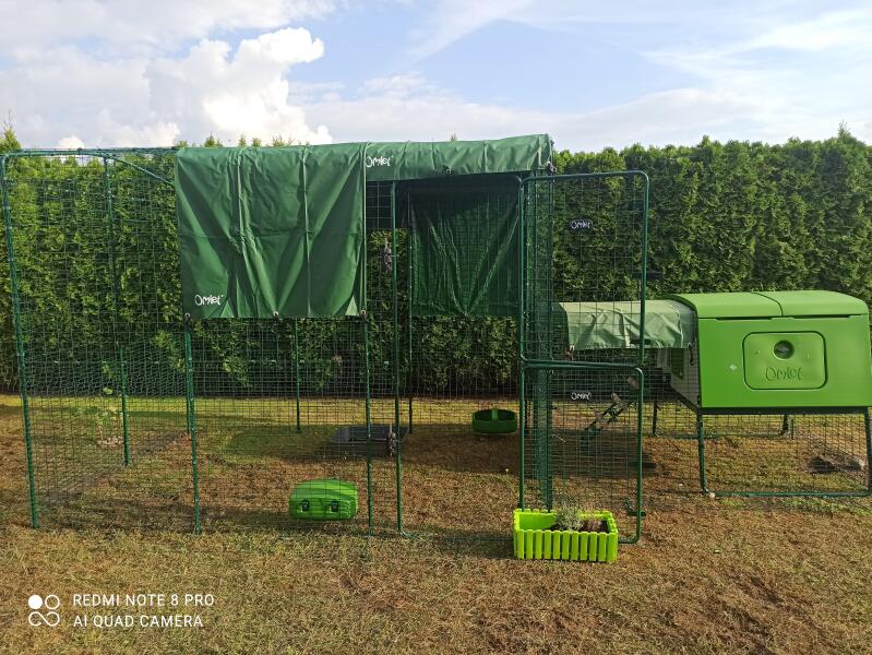 Walk in Chicken Run Large Chicken Pens Australia Omlet Chicken