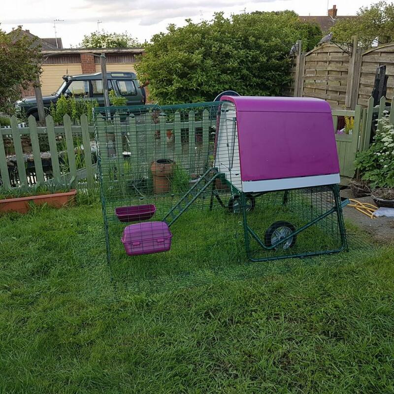 Eglu Go UP Mobile Chicken Coops Australia Omlet