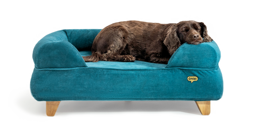 Dog sleeping in a memory foam dog bed