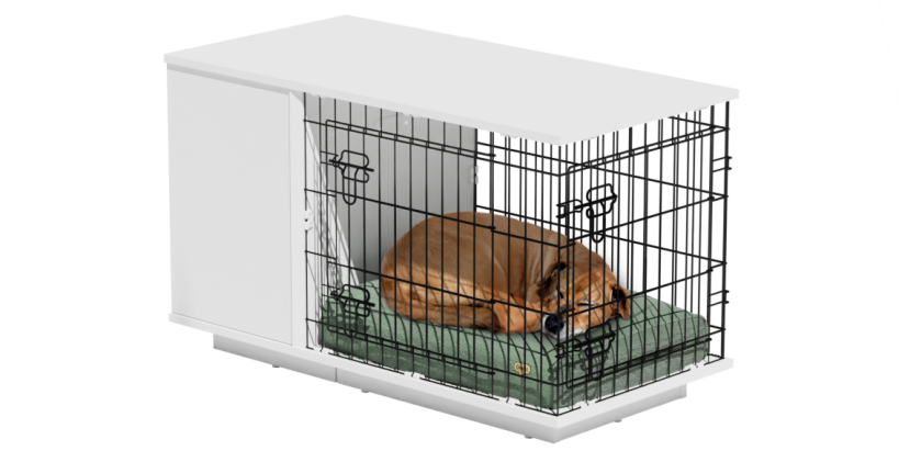 Dog sleeping inside a dog crate