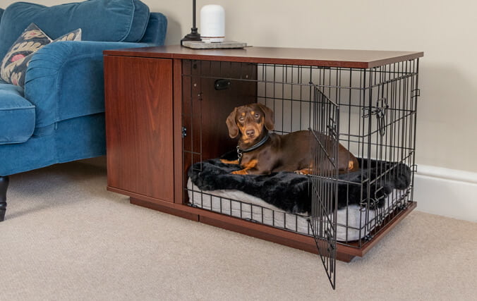 A dog inside a wooden dog crate