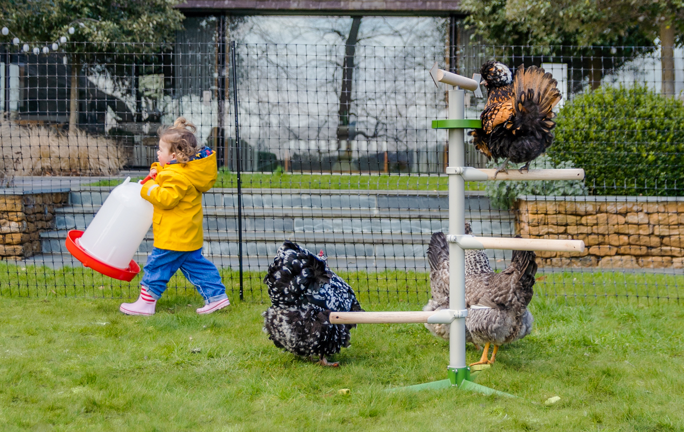 Girl walking by her chickens next to Omlet's Freestanding Chicken Perch