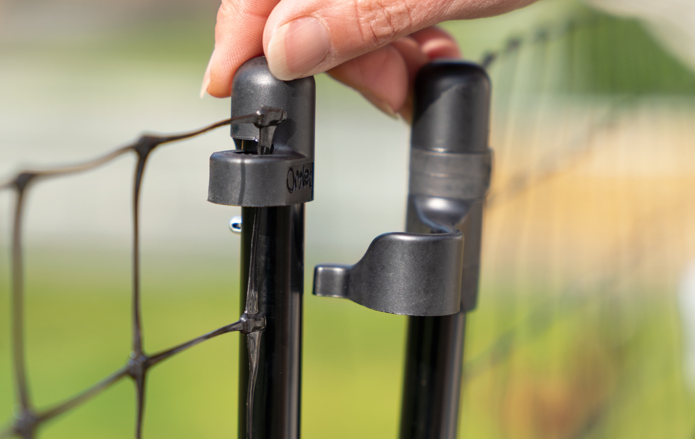 Woman's hand opening Omlet Chicken Fencing