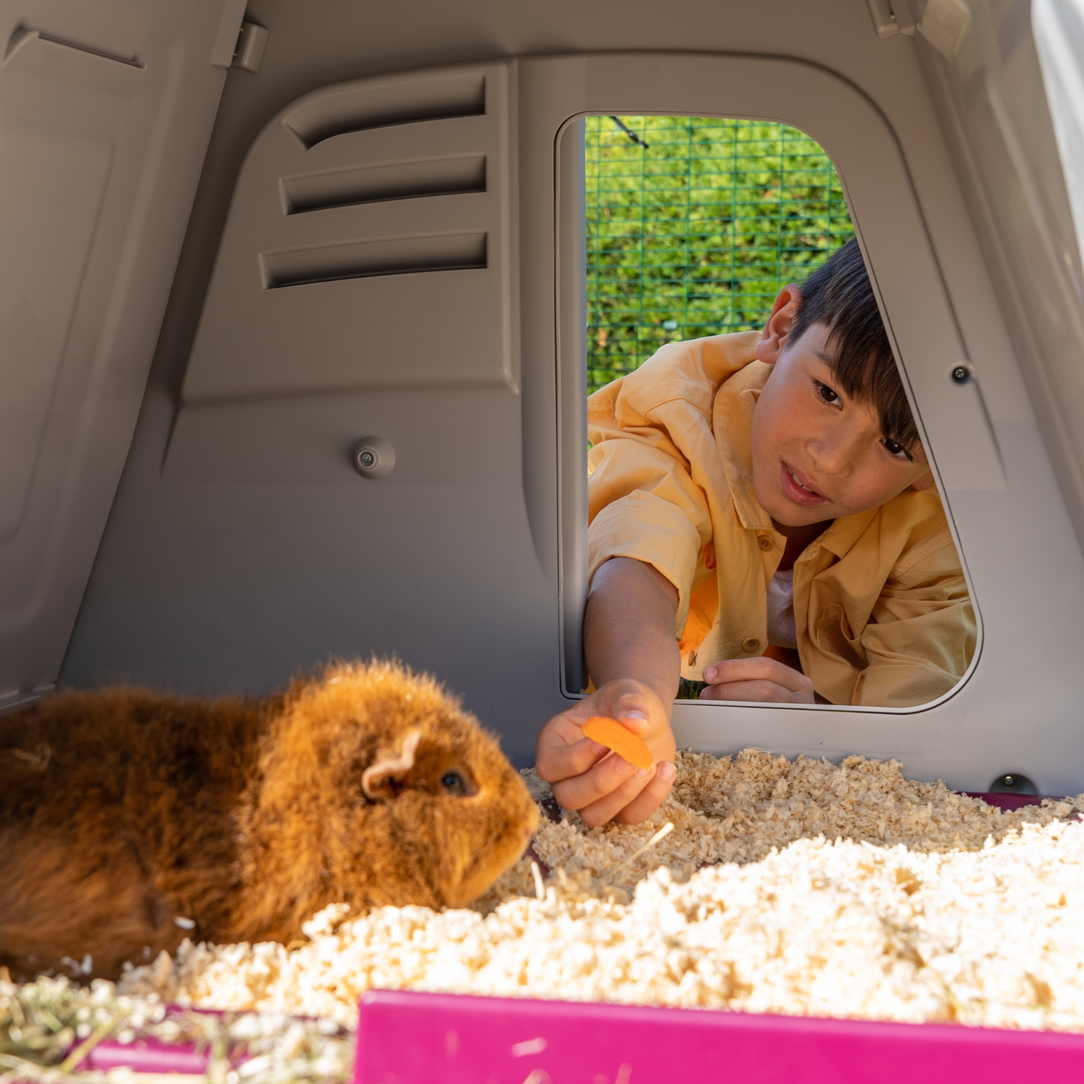 Eglu Go Guinea Pig Hutch Omlet