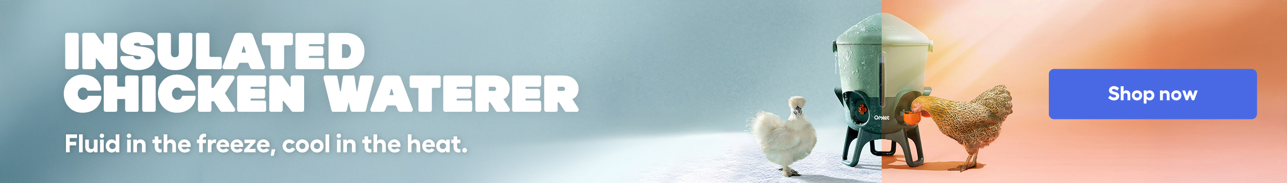 insulated chicken waterer