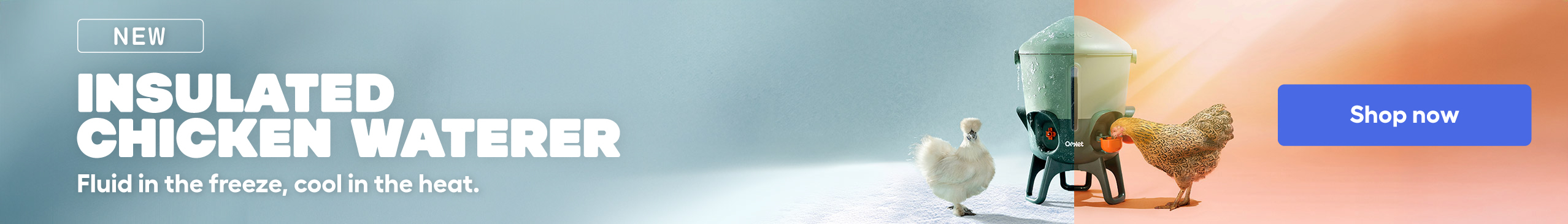 insulated chicken waterer