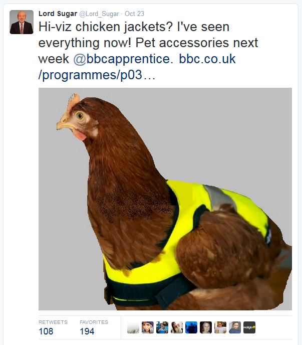 Yellow High Vis Chicken Jacket Omlet