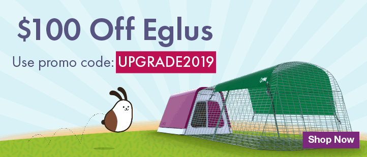 January Eglu Promotion