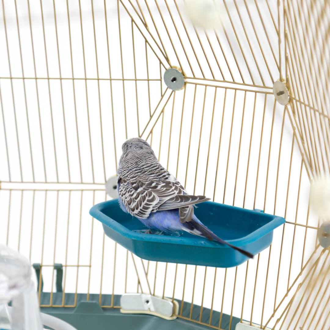 Bird bath cage accessories hotsell
