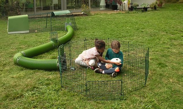 Connect your Eglu Go to the new Zippi Guinea Pig Tunnel