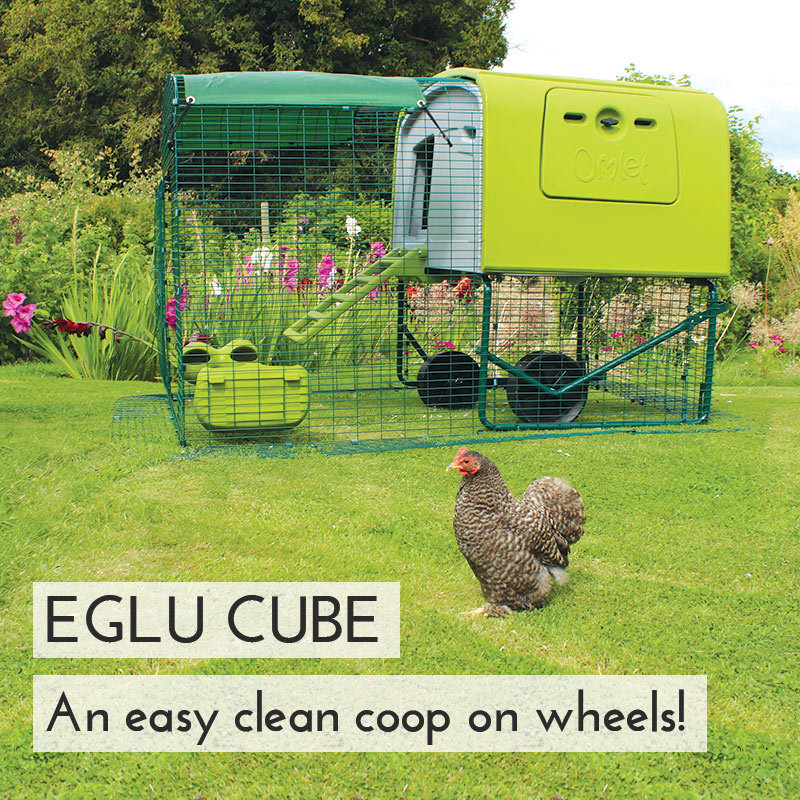 Chicken Coops Chicken Houses Cat Enclosures Rabbit Hutches Dog