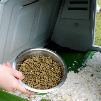 Placing the food bowl inside the Eglu Go Rabbit Hutch