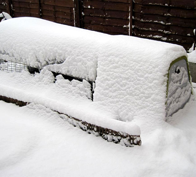 Eglu Go Chicken Coop keeps your chickens cool in the summer, and warm in the winter!