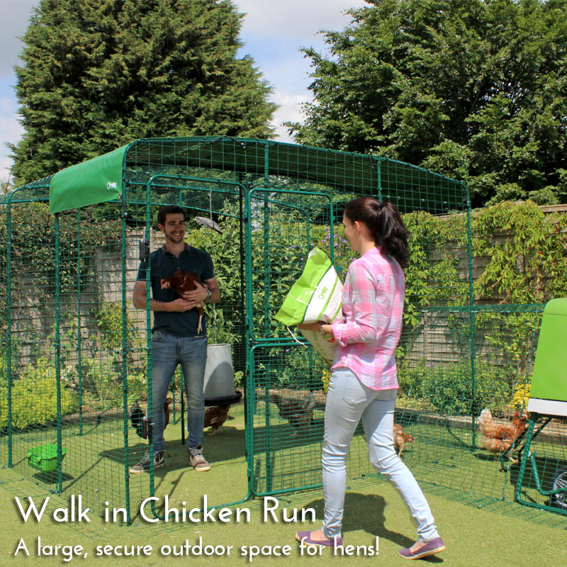  Chicken Coops Chicken Houses Cat Enclosures Rabbit 