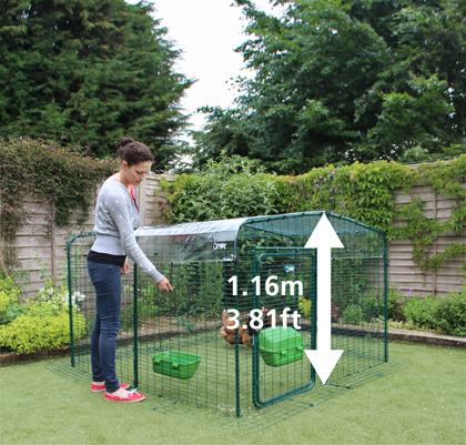 Lo-Rise Walk in Chicken Run.