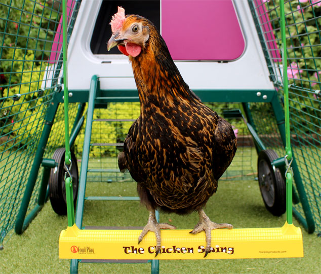 Miss Pepperpot chicken on The Chicken Swing