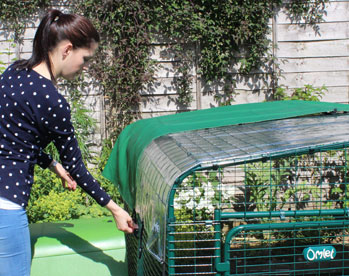Combine several Covers to keep your guinea pigs sheltered from wind and rain.