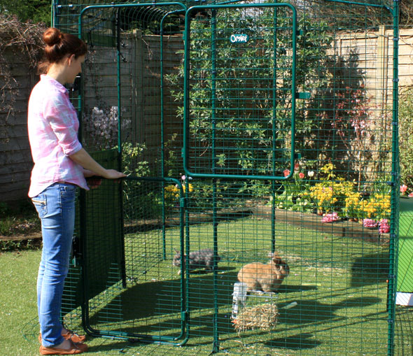 The Hi-Rise Outdoor Rabbit Run has a full height stable door making it easy to throw in some treats.