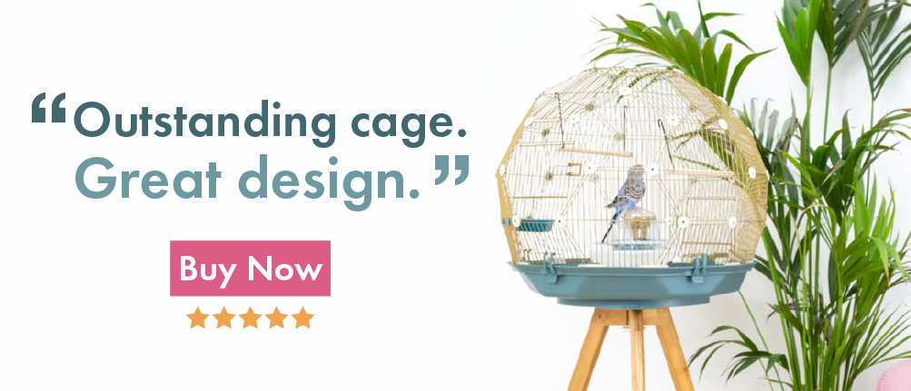 Geo Bird Cage