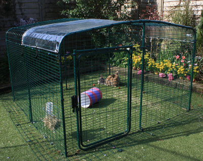 Metal shop rabbit run
