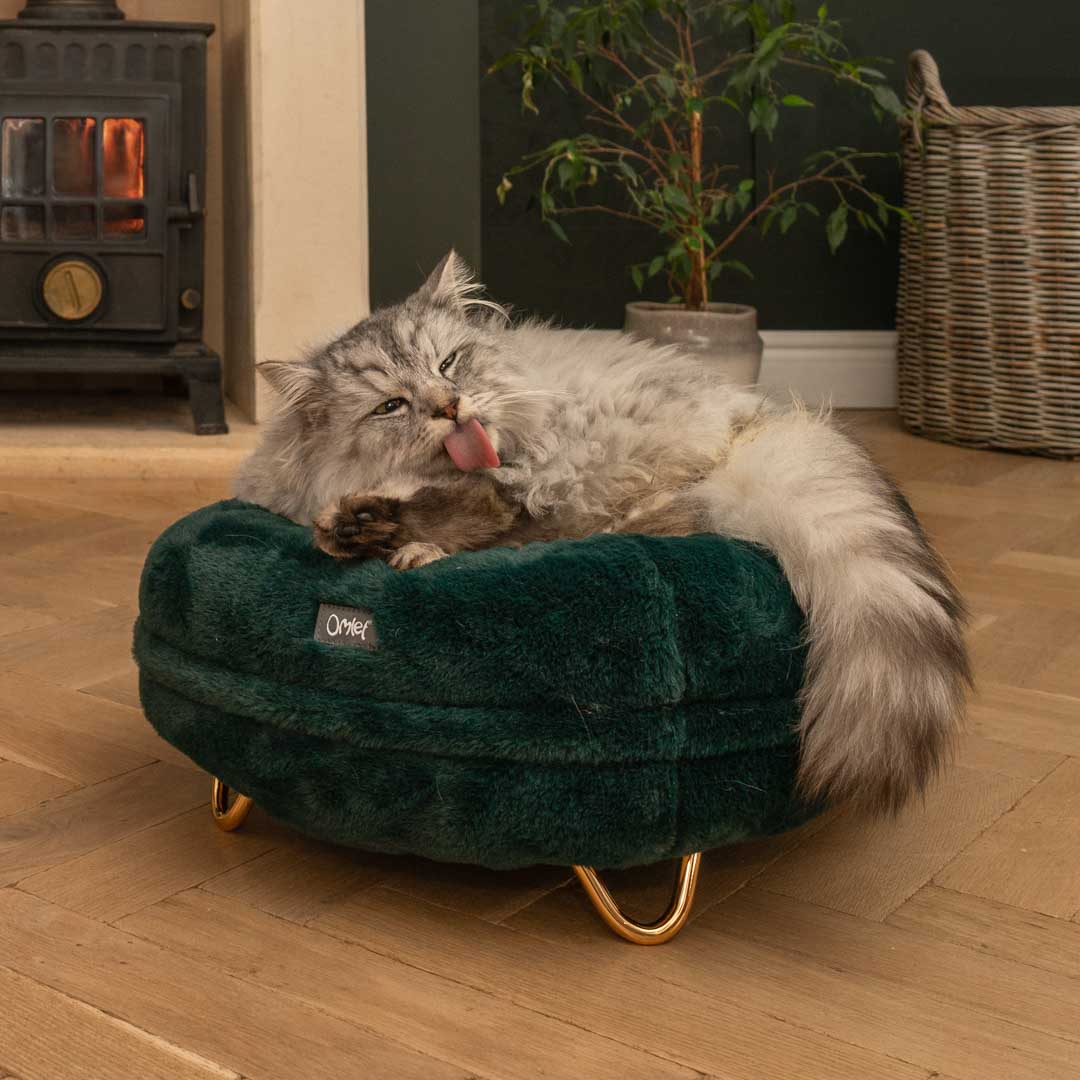 Maya Donut Cat Bed Peacock Green Omlet