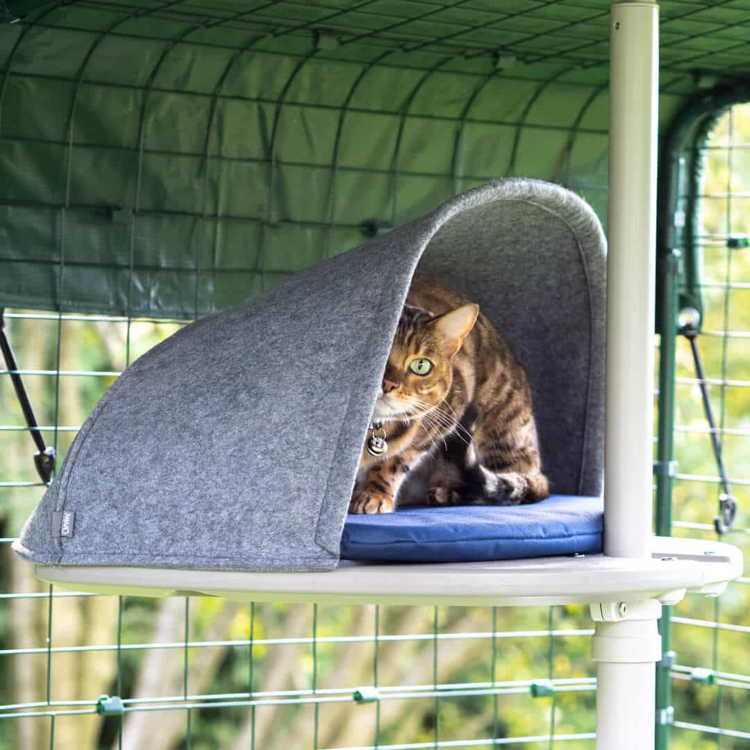 Freestyle Outdoor Cat Tree Customisable Cat Climbing Frame Omlet