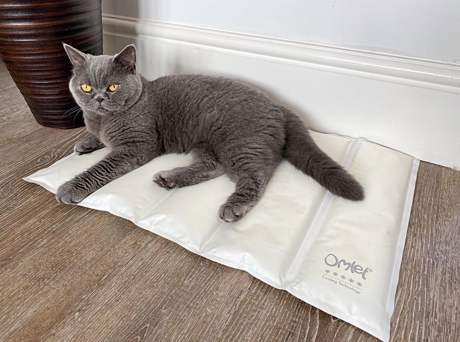 Cat mat sales