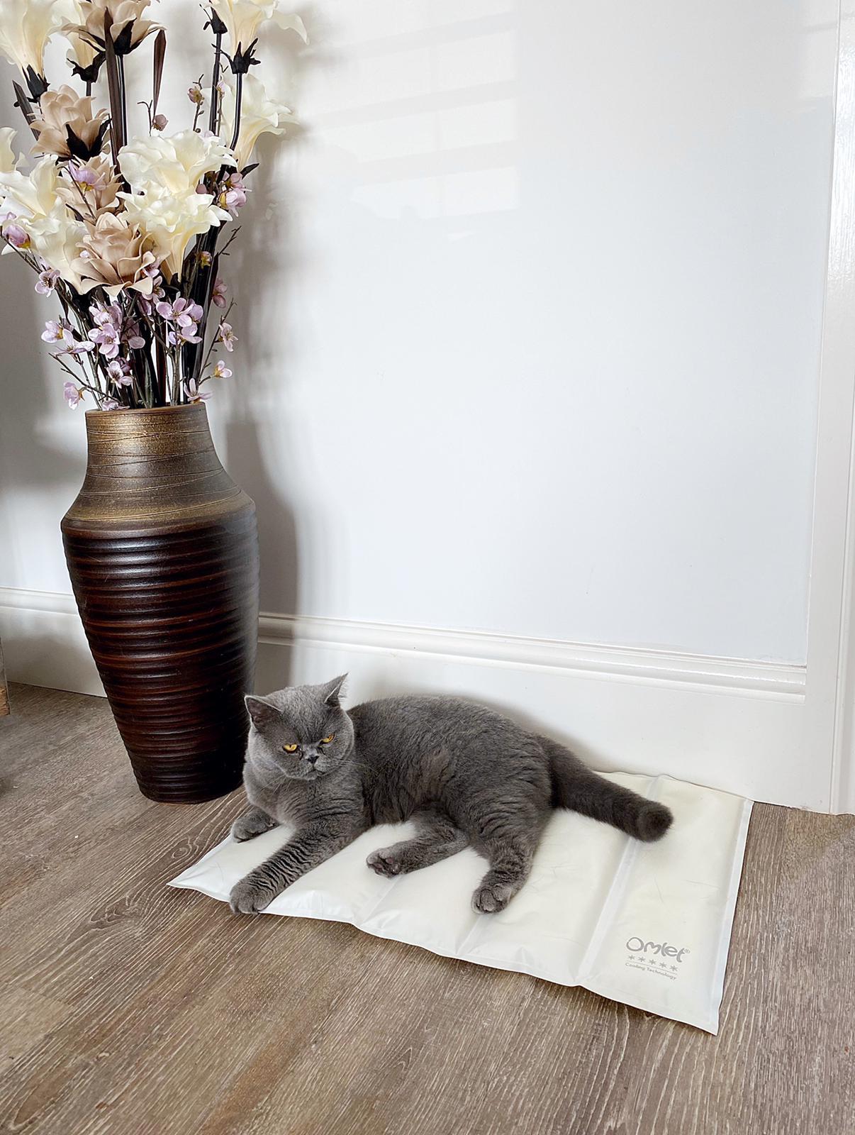 Cooling mats shop for cats