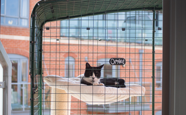 A cat sleeping peacefully in the cat balcony enclosure under a weather proof shade