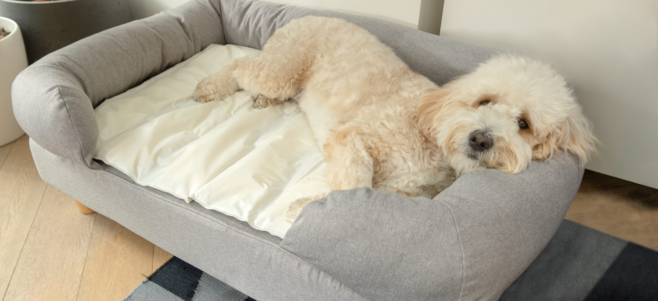Cooling Dog Mat Kmart atelieryuwa.ciao.jp