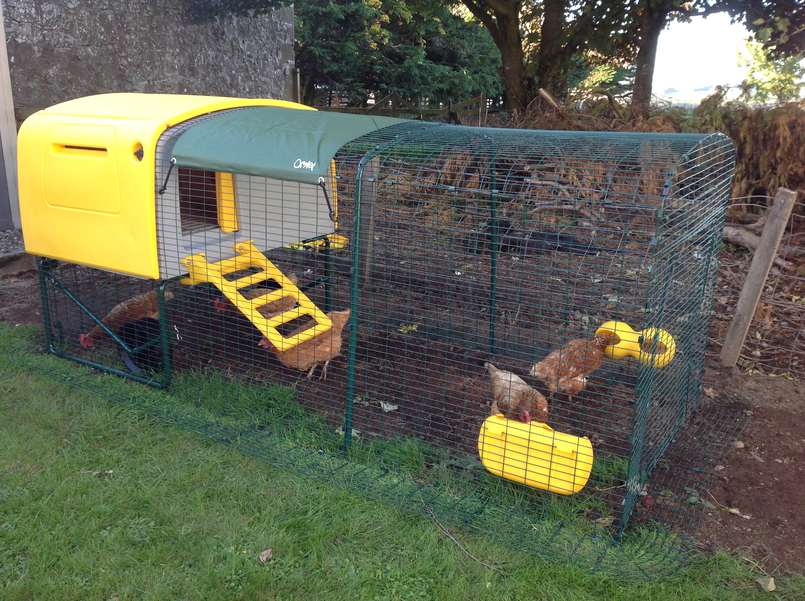 Eglu Cube Chicken Coop Chicken Keeping Equipment Omlet