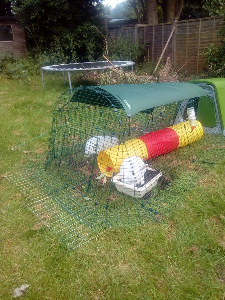 Eglu Go Rabbit Hutch Plastic House and Run for Rabbits