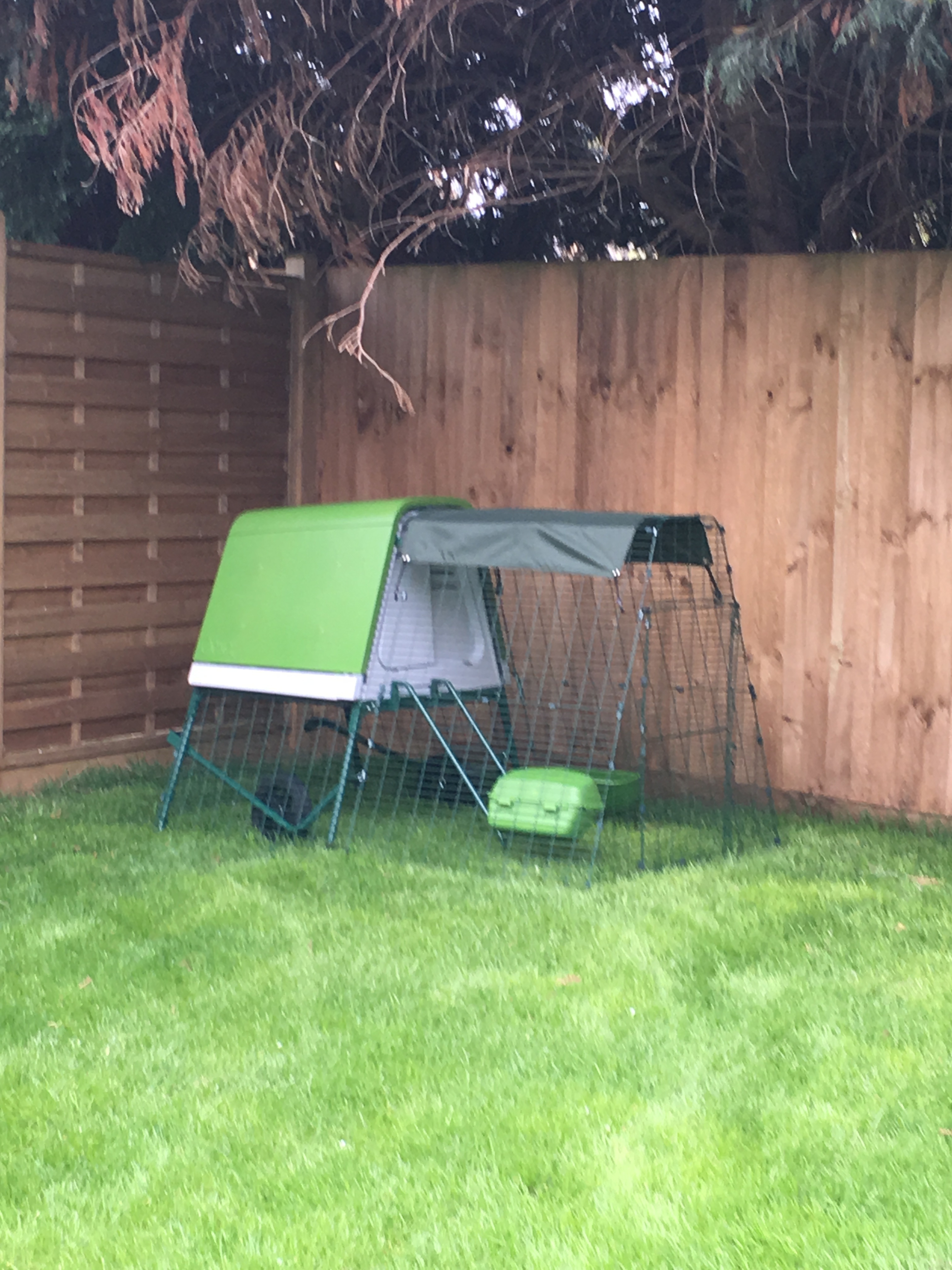 Eglu Go UP Chicken Coop Chicken Coops and Pet Chicken Accessories Omlet