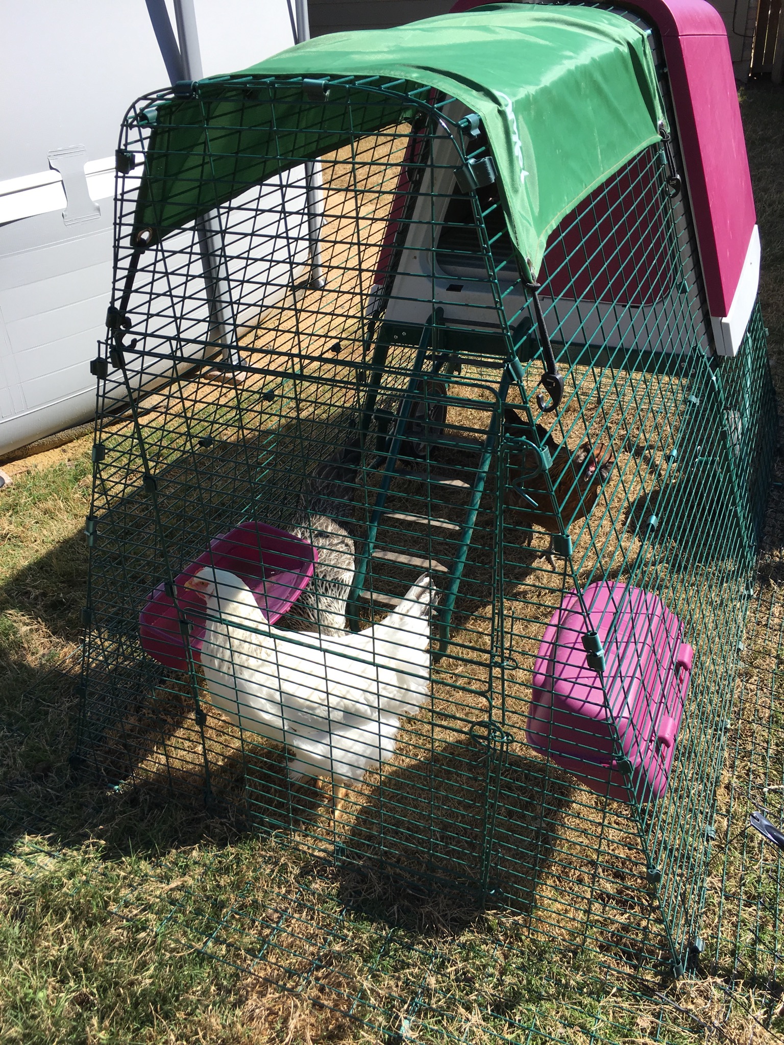Eglu Go UP Chicken Coop Chicken Keeping Equipment Omlet
