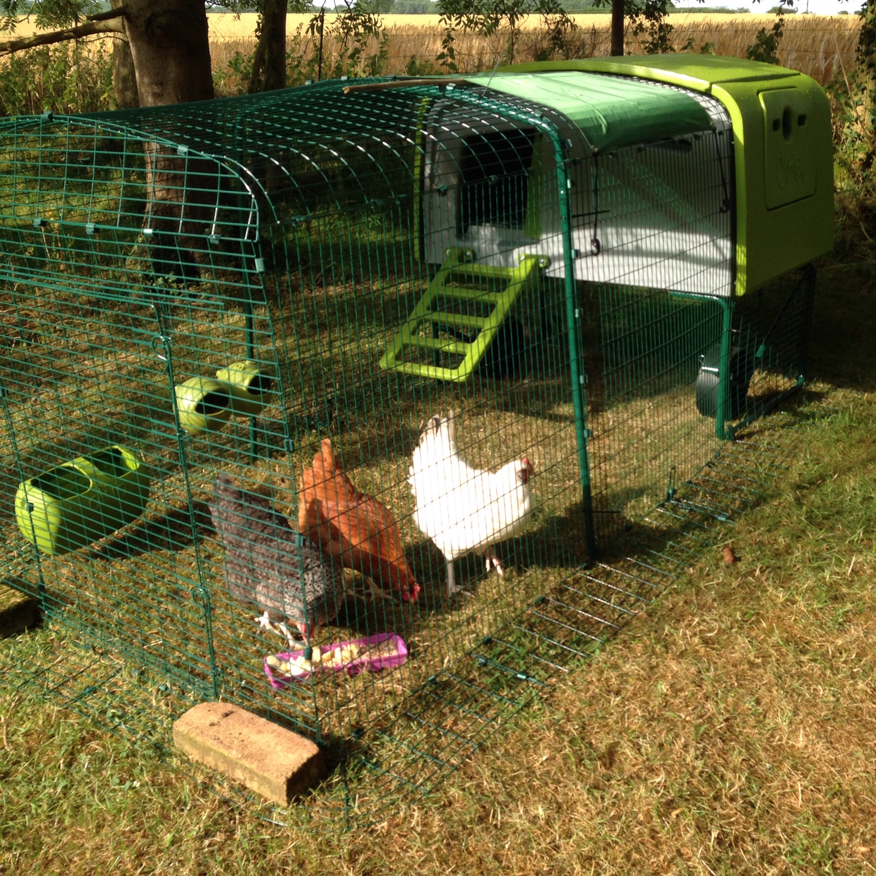 Eglu Cube Chicken Coop Chicken Keeping Equipment Omlet