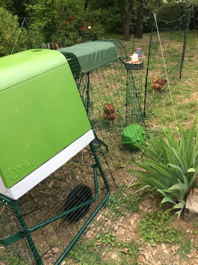 Eglu Go UP Chicken Coop Chicken Coops and Pet Chicken Accessories Omlet