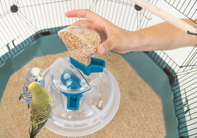 The bird feeder being removed from the Geo Budgie Cage