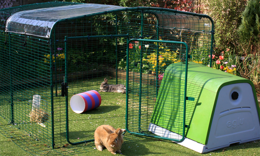 Eglu rabbit best sale run