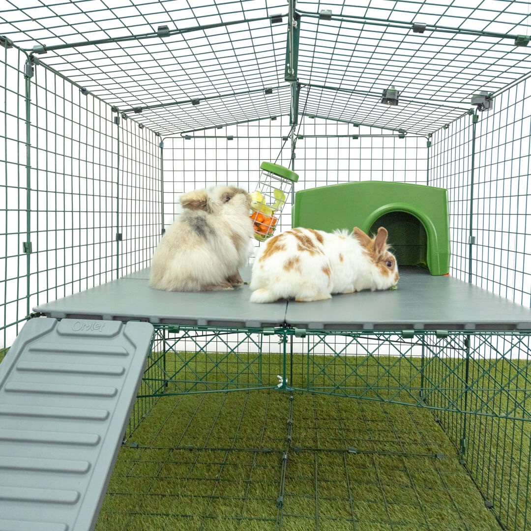 Zippi Rabbit Shelter - Green | Omlet
