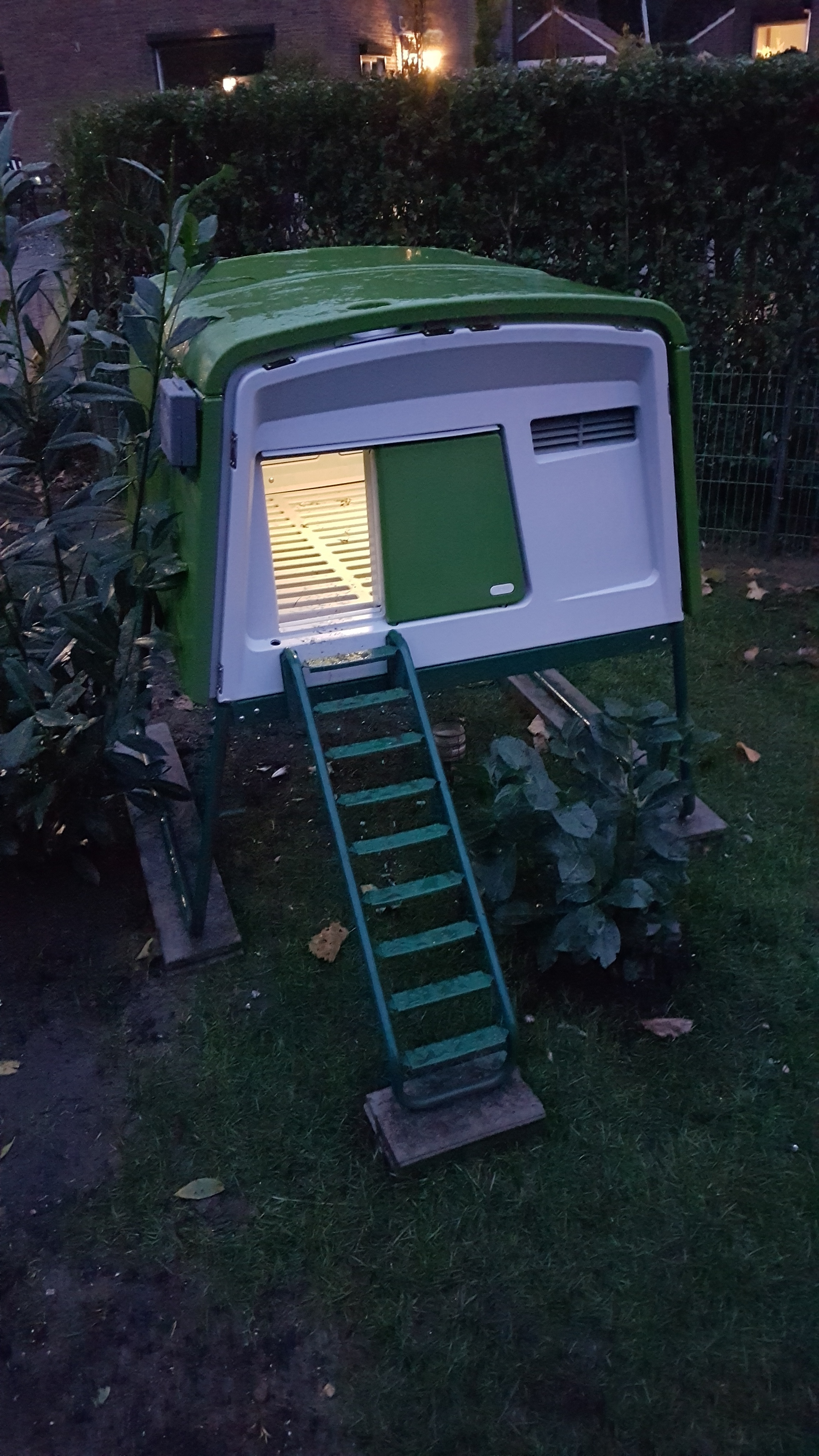 Automatic Chicken Coop Door Opener Omlet