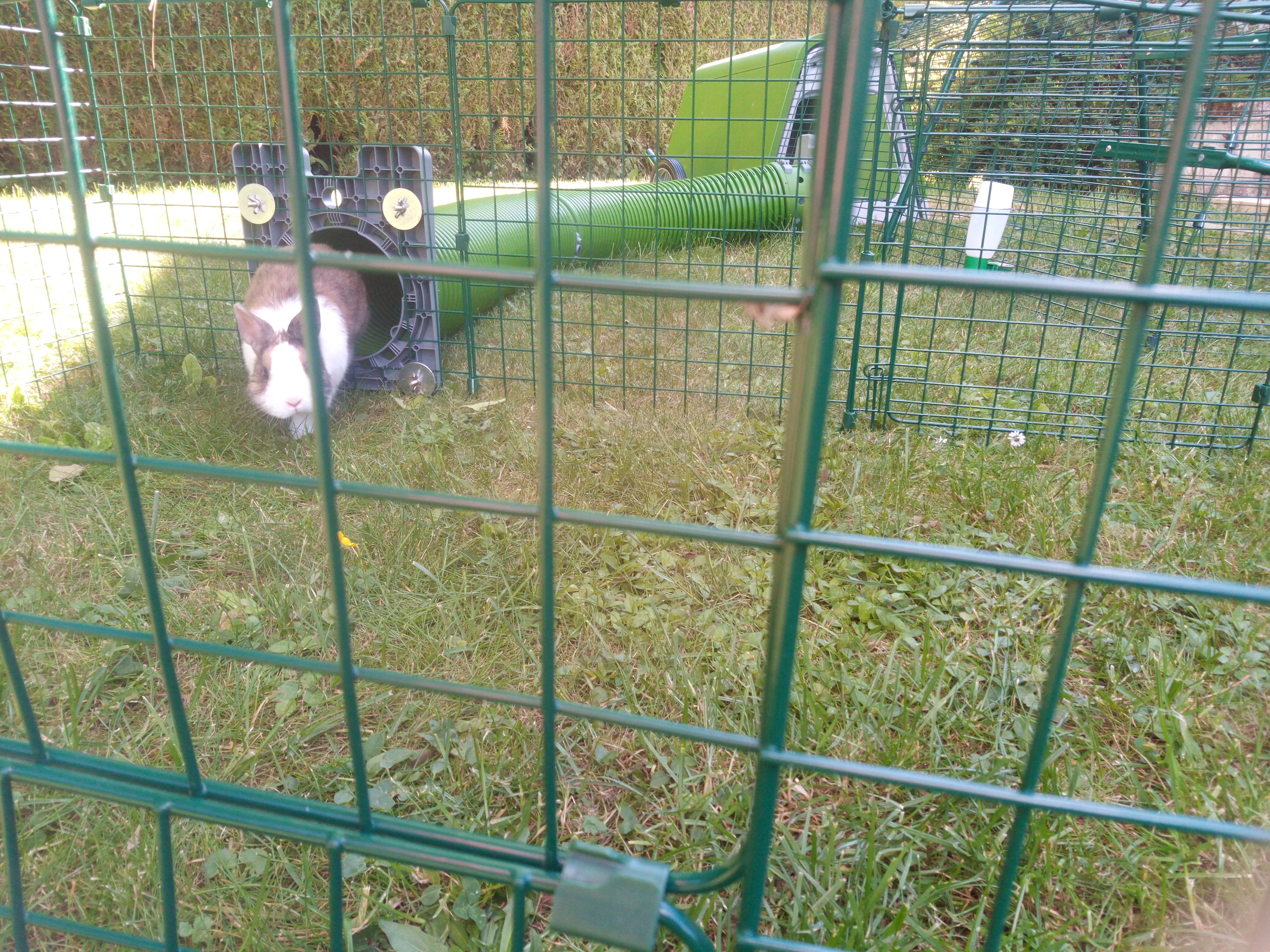 Zippi Rabbit Tunnel System Omlet