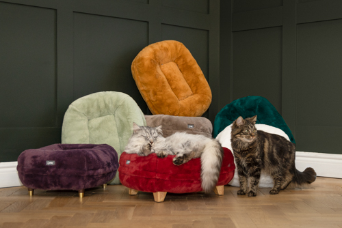 Best cat beds clearance australia