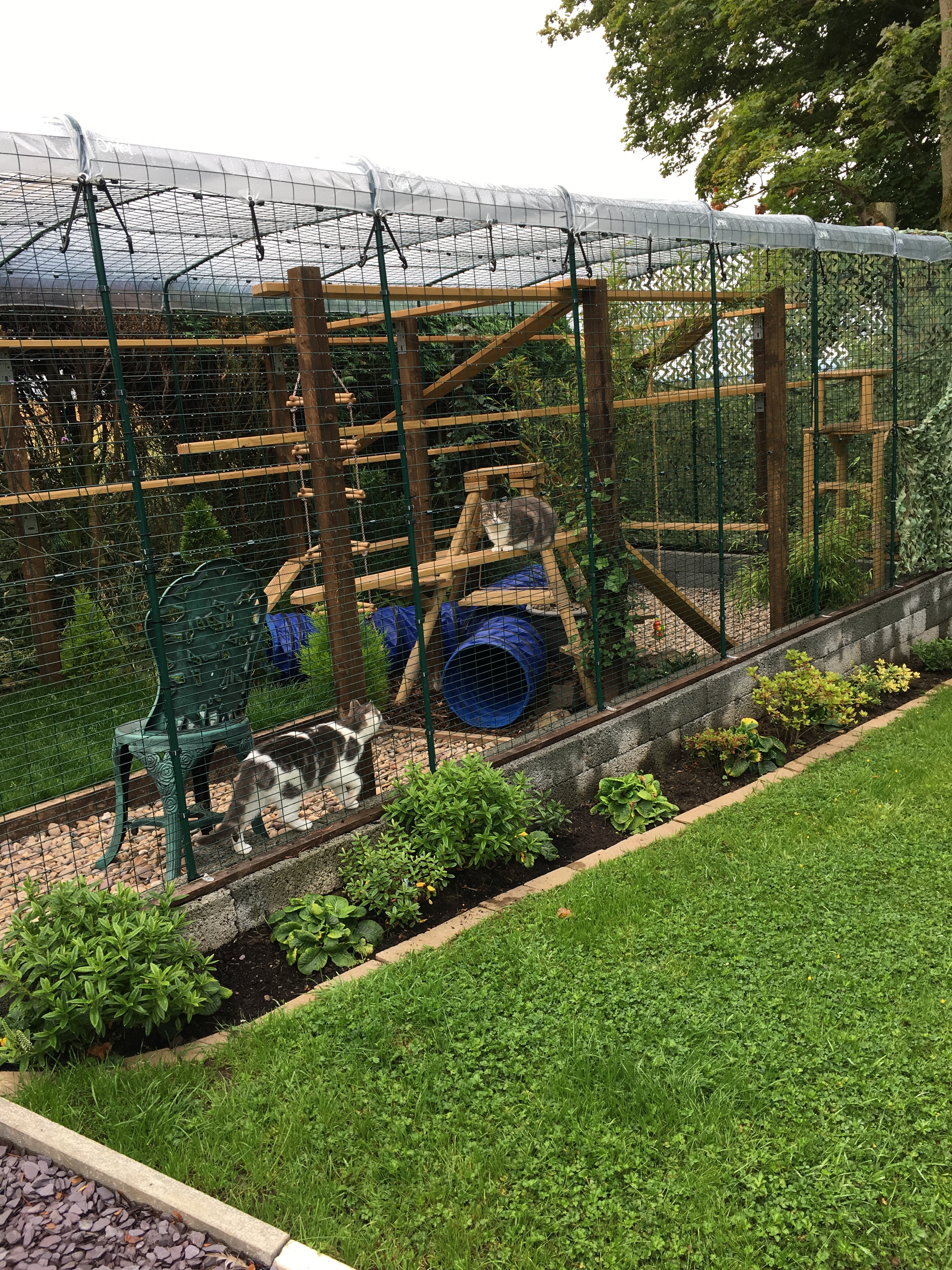 Outdoor Cat Run Outdoor Cat Runs Omlet