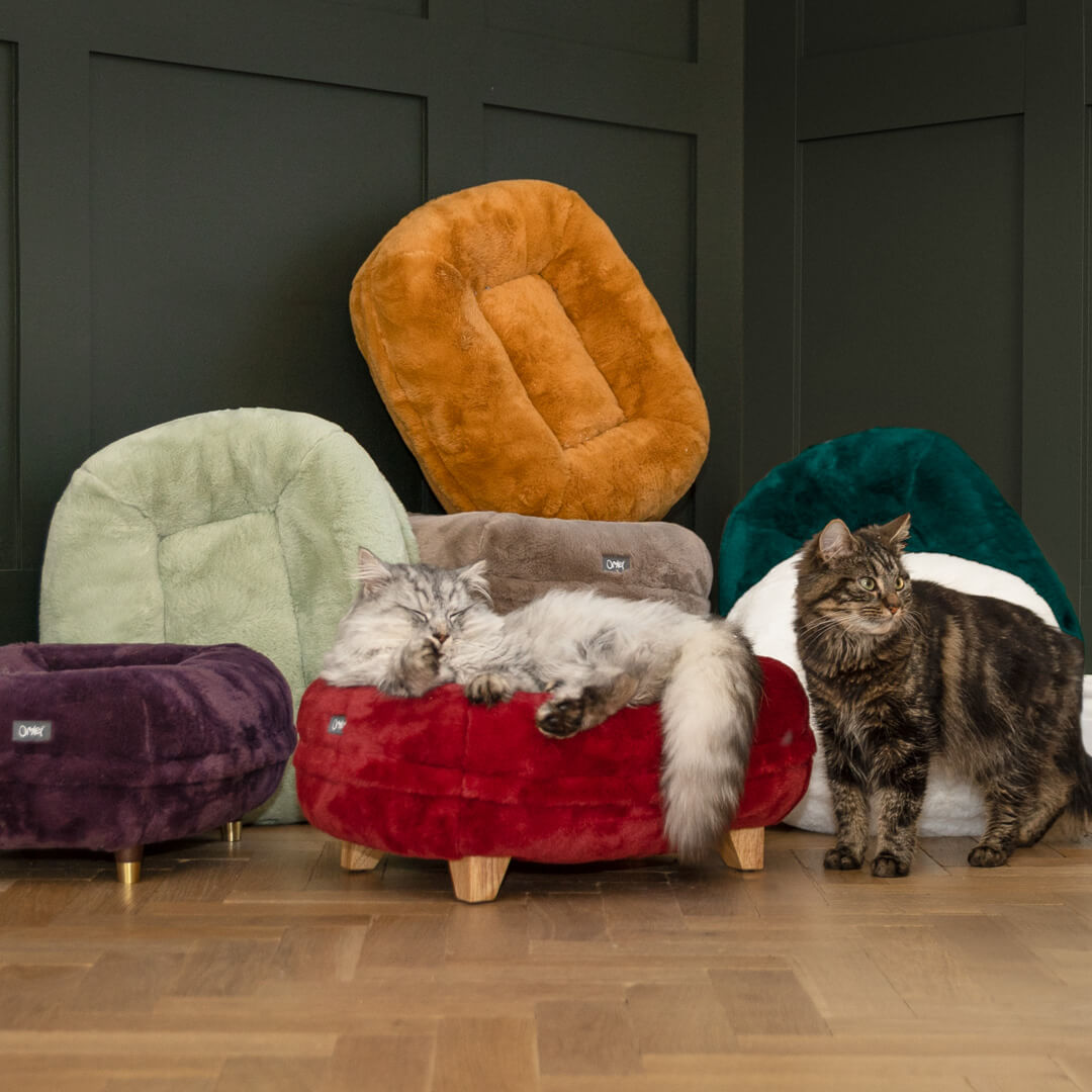 Maya Donut Cat Bed Peacock Green Omlet