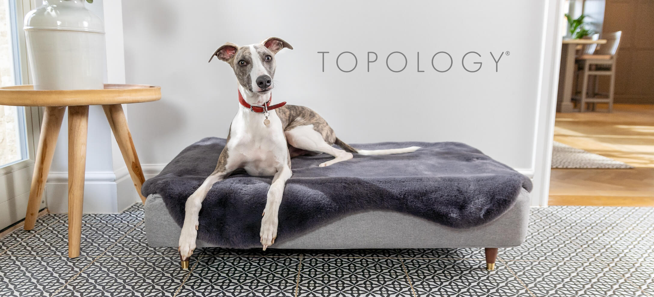 Topology Luxury Dog Beds With Customizable Toppers and Feet By