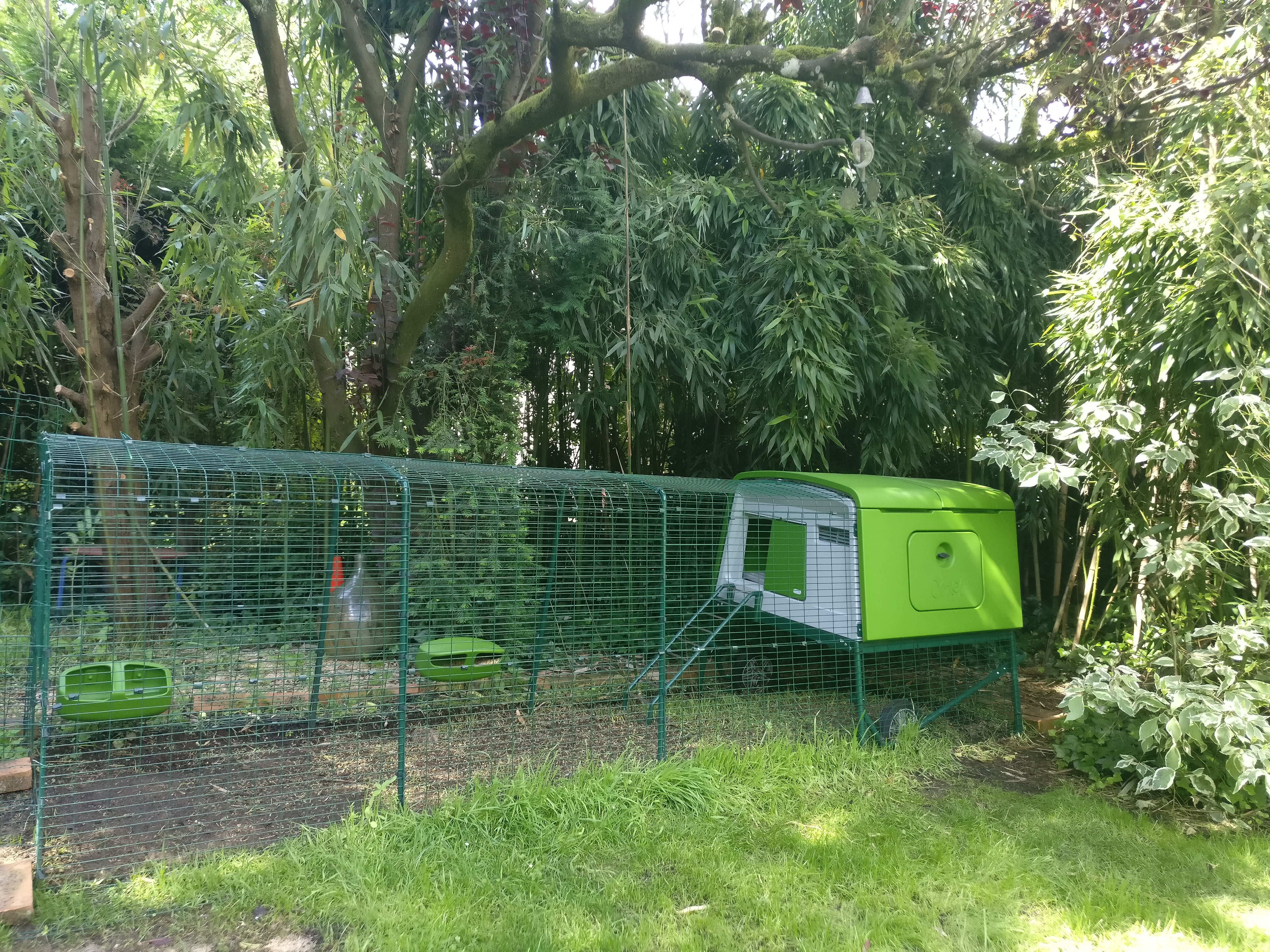 New Eglu Cube Chicken Coop Chicken Coops and Pet Chicken Accessories