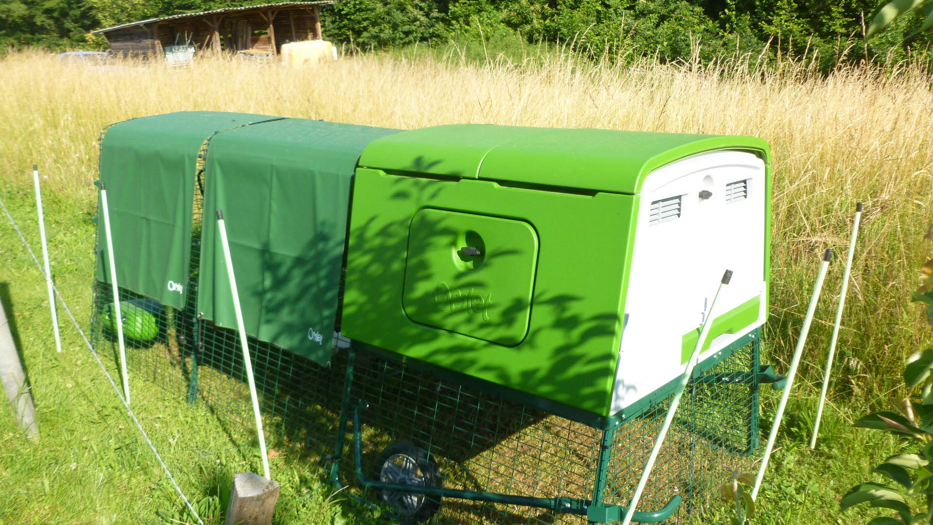 New Eglu Cube Chicken Coop Chicken Coops and Pet Chicken Accessories